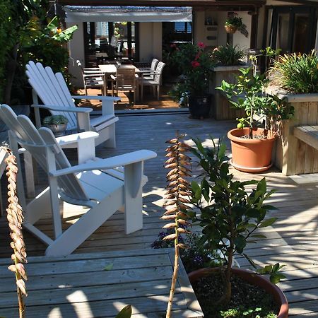 Terry And Cindy'S Bed And Breakfast Auckland Luaran gambar